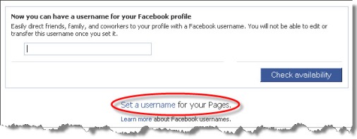 facebook custom username, facebook custom url